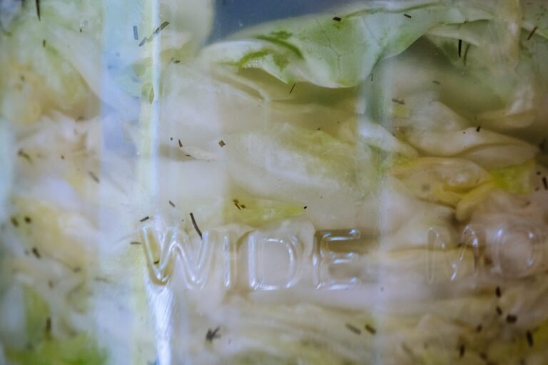 Sauerkraut