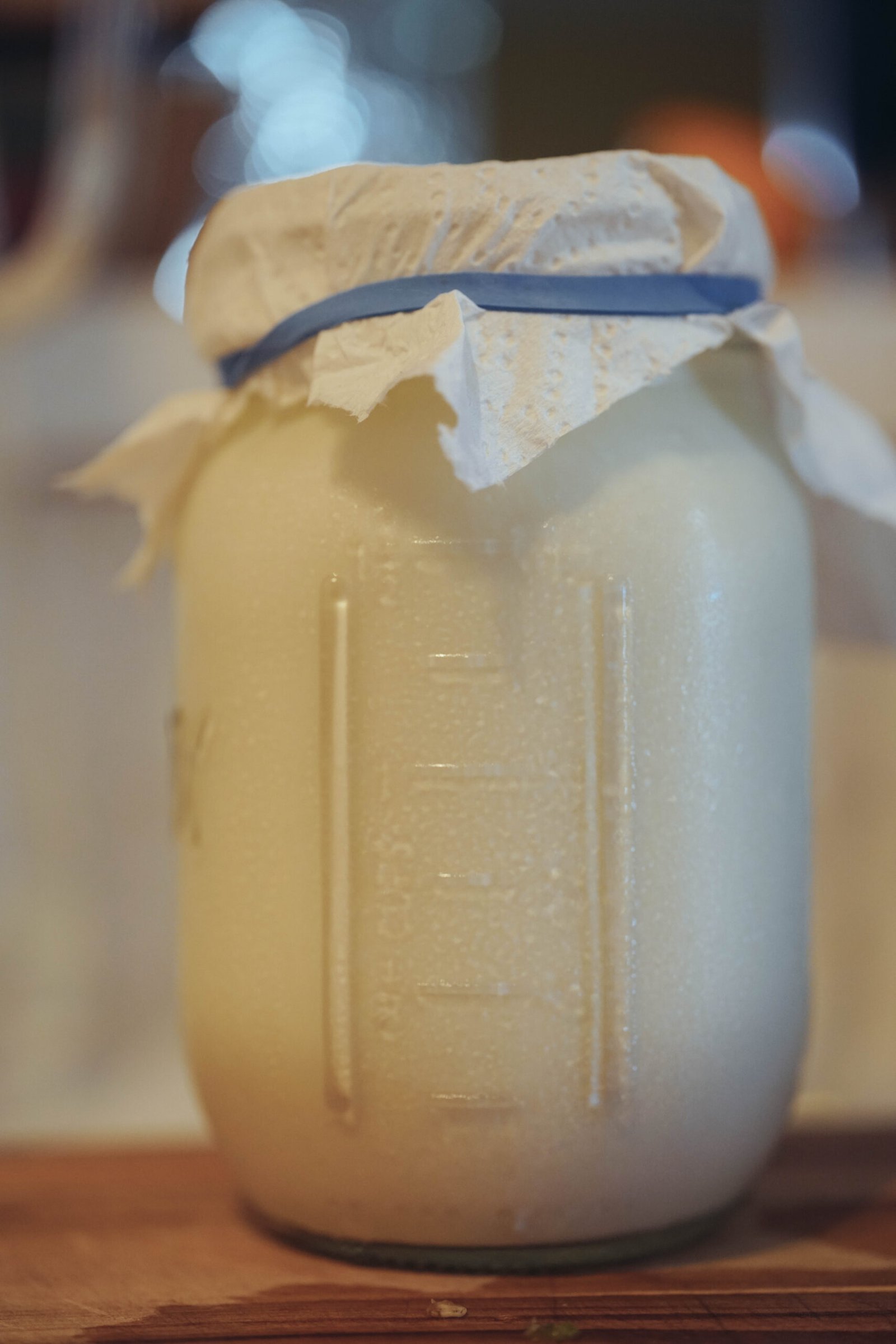 A jar of mesophilic yogurt during the fermentation process