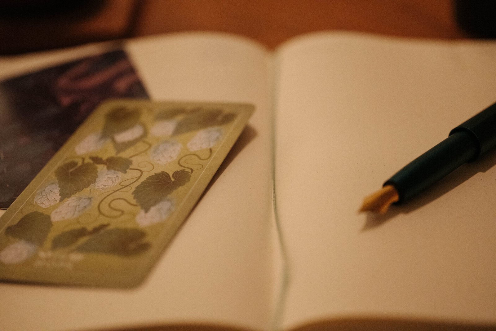 An open journal with a fountain pen and some oracle cards
